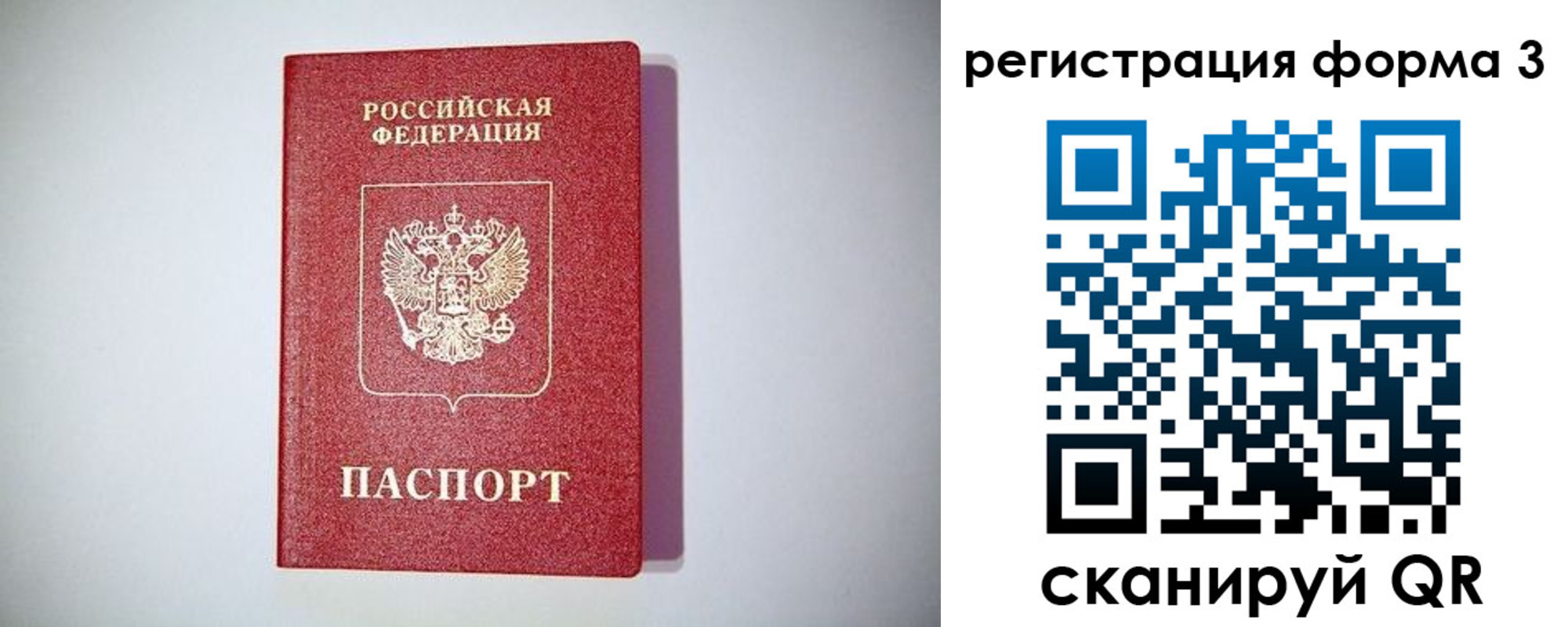 прописка гарантия в Химках